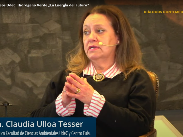 Dra. Claudia Ulloa fue parte de panel de especialistas locales que analizaron desarrollo del Hidrógeno Verde en la región en una nueva versión de Diálogos Contemporáneos UdeC