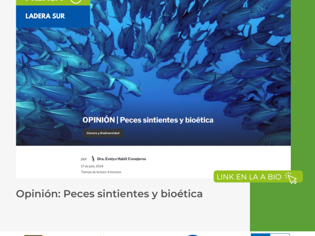 OPINIÓN LADERA SUR| Peces sintientes y bioética