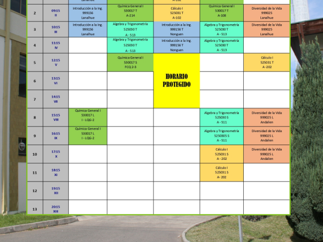 Horarios primer semestre- Año académico 2025