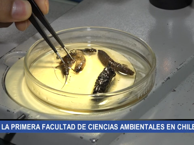 Buscando conocimiento científico para la comunidad: la historia de Ciencias Ambientales UdeC
