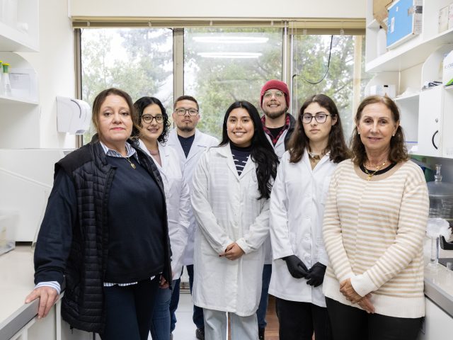Investigación UdeC desarrolla material para purificar aguas contaminadas a partir de neumáticos usados